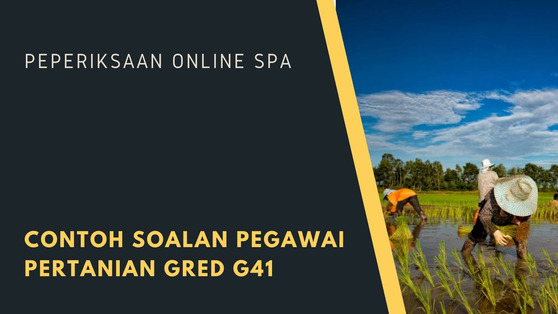 Contoh Soalan Pegawai Pertanian Gred G41 Tips Peperiksaan Online Spa Sokongan Kerjaya